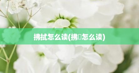 拂拭怎么读(拂菻怎么读)