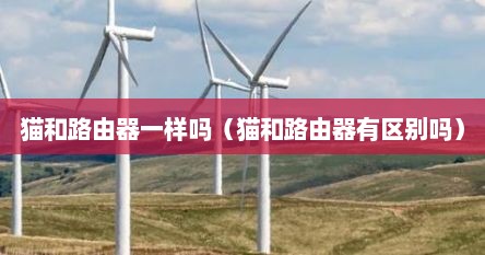 猫和路由器一样吗（猫和路由器有区别吗）