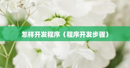 怎样开发程序（程序开发步骤）
