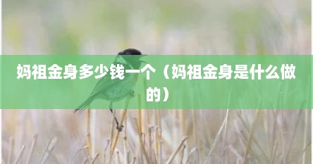 妈祖金身多少钱一个（妈祖金身是什么做的）