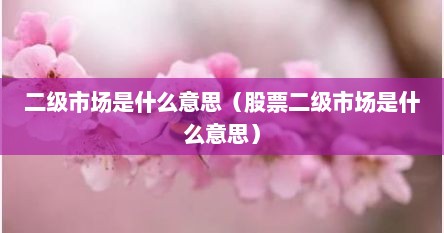 股票二级市场的作用（什么叫股市二级市场）