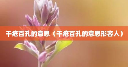 千疮百孔的意思（千疮百孔的意思形容人）
