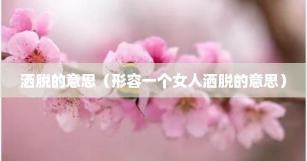 洒脱的意思（形容一个女人洒脱的意思）