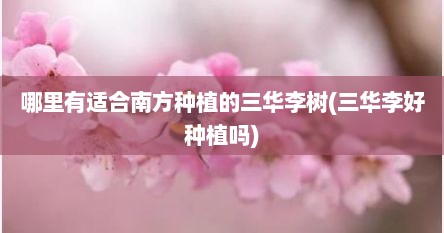 哪里有适合南方种植的三华李树(三华李好种植吗)