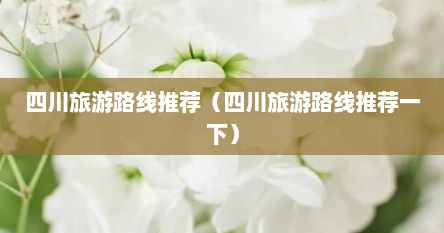 四川旅游路线推荐（四川旅游路线推荐一下）