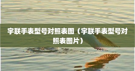 宇联手表型号对照表图（宇联手表型号对照表图片）