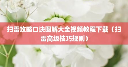 扫雷攻略口诀图解大全视频教程下载（扫雷高级技巧规则）