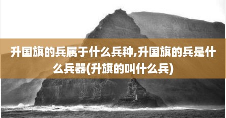升国旗的兵属于什么兵种,升国旗的兵是什么兵器(升旗的叫什么兵)