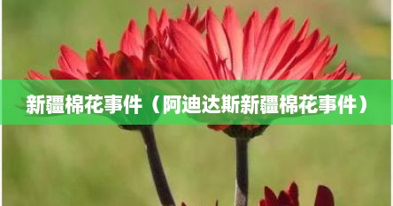 新疆棉花事件（阿迪达斯新疆棉花事件）