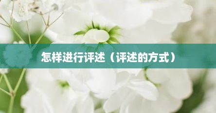 怎样进行评述（评述的方式）