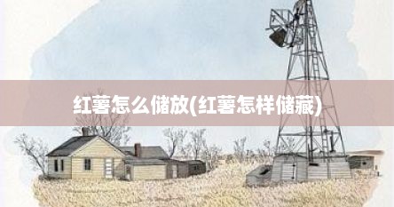 红薯怎么储放(红薯怎样储藏)