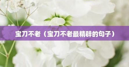 宝刀不老（宝刀不老最精辟的句子）