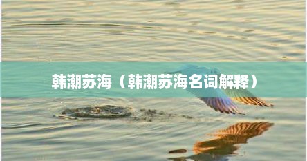 韩潮苏海（韩潮苏海名词解释）
