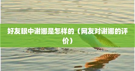 好友眼中谢娜是怎样的（网友对谢娜的评价）