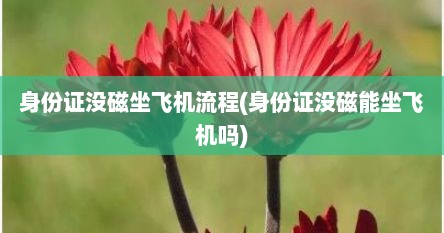 身份证没磁坐飞机流程(身份证没磁能坐飞机吗)
