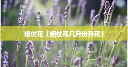 炮仗花（炮仗花几月份开花）