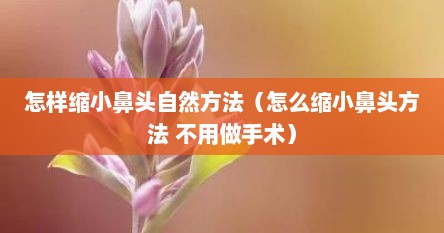 怎样缩小鼻头自然方法（怎么缩小鼻头方法 不用做手术）