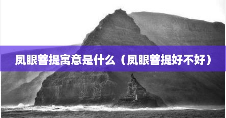 凤眼菩提寓意是什么（凤眼菩提好不好）