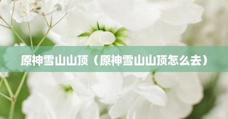 原神雪山山顶（原神雪山山顶怎么去）