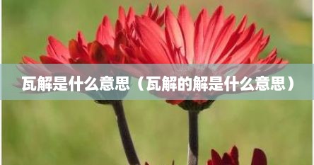 瓦解是什么意思（瓦解的解是什么意思）