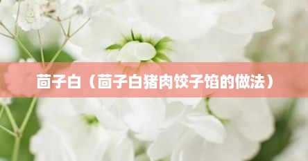 茴子白（茴子白猪肉饺子馅的做法）