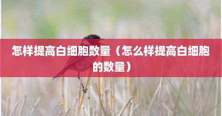 怎样提高白细胞数量（怎么样提高白细胞的数量）