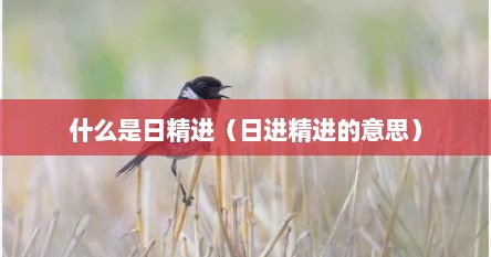 什么是日精进（日进精进的意思）