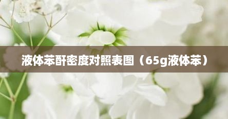 液体苯酐密度对照表图（65g液体苯）