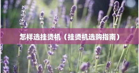怎样选挂烫机（挂烫机选购指南）