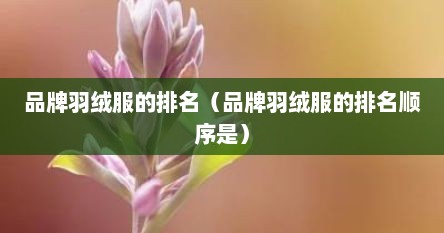 品牌羽绒服的排名（品牌羽绒服的排名顺序是）