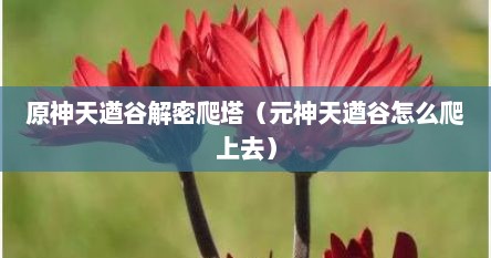 手游原神天遒谷爬塔（原神天遒谷爬楼攻略）
