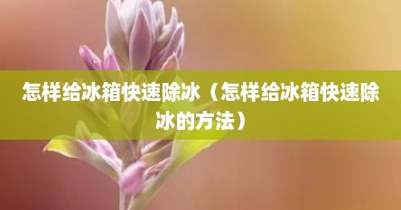 怎样给冰箱快速除冰（怎样给冰箱快速除冰的方法）