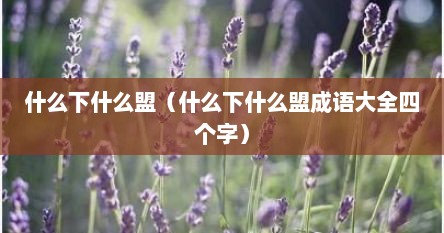 什么下什么盟（什么下什么盟成语大全四个字）