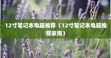 12寸笔记本电脑推荐（12寸笔记本电脑推荐家用）