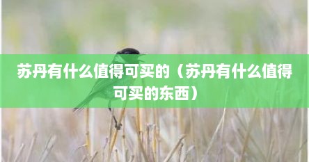 苏丹有什么值得可买的（苏丹有什么值得可买的东西）