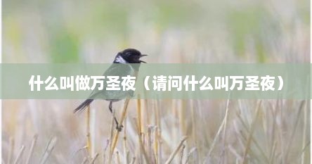 万圣夜是什么节（什么是万圣夜啥意思）