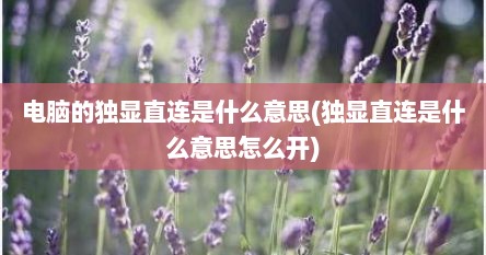 电脑的独显直连是什么意思(独显直连是什么意思怎么开)