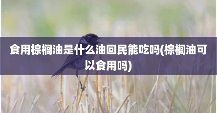 食用棕榈油是什么油回民能吃吗(棕榈油可以食用吗)