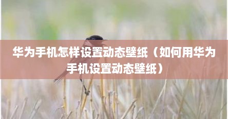 华为手机怎样设置动态壁纸(如何用华为手机设置动态壁纸) 华为手机怎样设置动态壁纸(如何用华为手机设置动态壁纸)