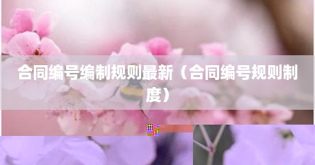 合同编号编制规则最新（合同编号规则制度）