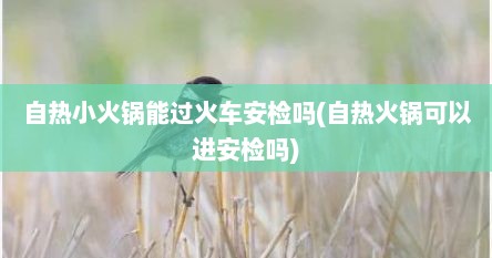 自热小火锅能过火车安检吗(自热火锅可以进安检吗)