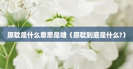 原耽是什么意思是啥（原耽到底是什么?）