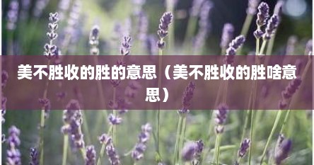 美不胜收的胜的意思（美不胜收的胜啥意思）