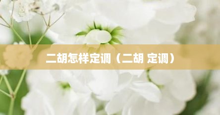 二胡怎样定调（二胡 定调）