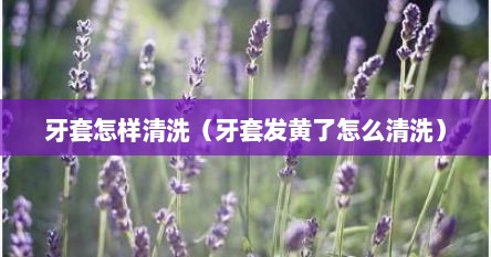 牙套怎样清洗（牙套发黄了怎么清洗）
