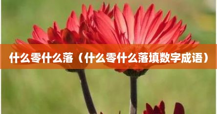 什么零什么落（什么零什么落填数字成语）