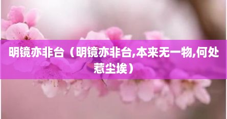 明镜亦非台（明镜亦非台,本来无一物,何处惹尘埃）