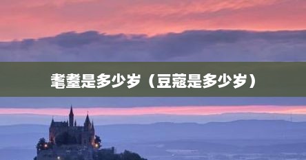 耄耋是多少岁（豆蔻是多少岁）