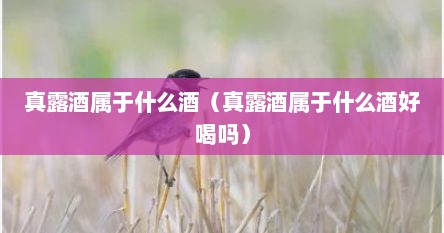 真露酒属于什么酒（真露酒属于什么酒好喝吗）