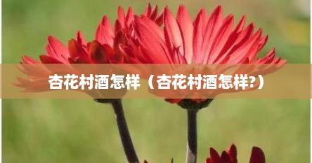 杏花村酒怎样（杏花村酒怎样?）